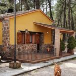 vacaciones con perro