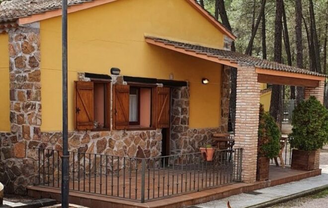 vacaciones con perro